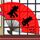 无证之罪